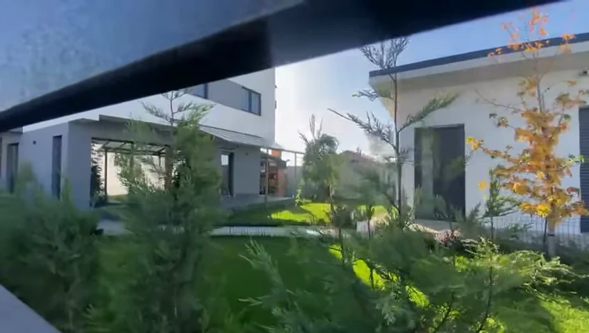 Conifere și vegetație în grădina unei locuințe